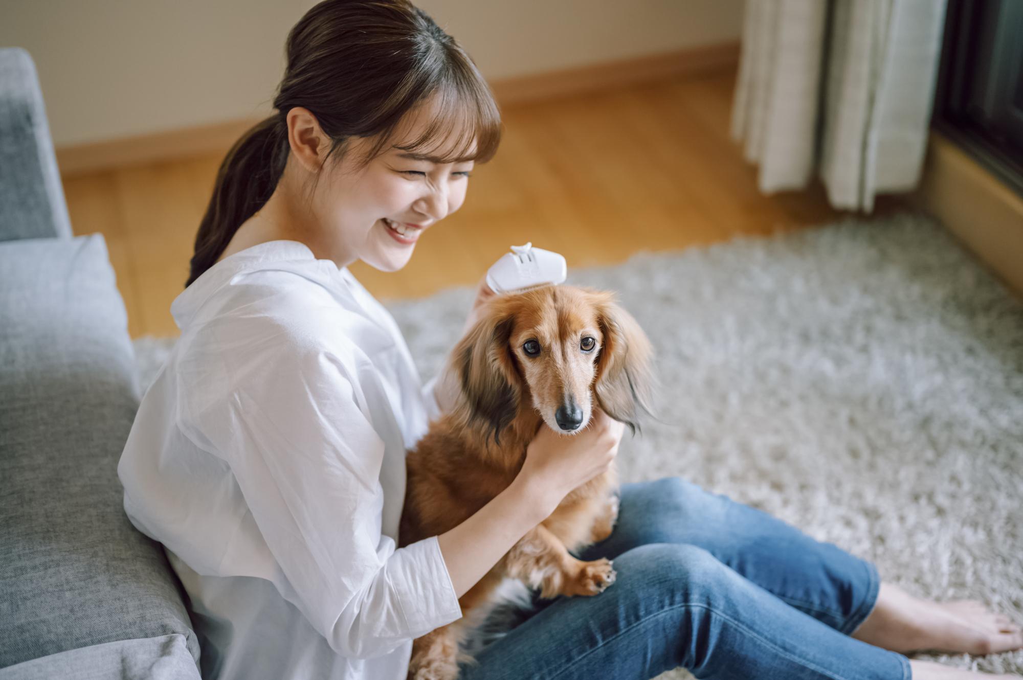 犬と暮らす家づくりの注意点